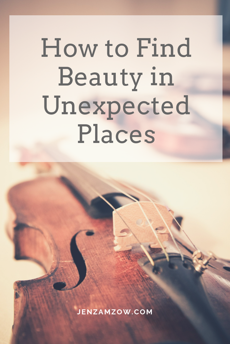 Finding Beauty in Unexpected Places Jen Zamzow, PhD
